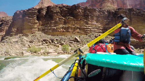 A trip guide paddles around a dangerouse obstacle on the Colorado River